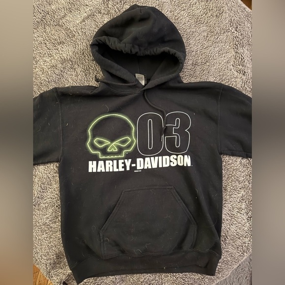 HARLEY- DAVIDSON Athens Men's HOODIE - Picture 10 of 10